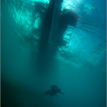 подводная фотография Дмитрия Виноградова