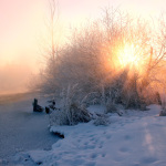 Живописный зимний рассвет Евгения Тюрина