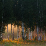 Краски лесного пейзажа Марата Ахметвалеева
